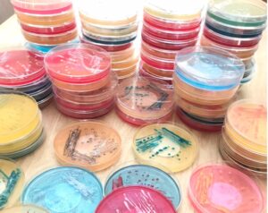 Petri Dish Soaps [XCIENCEdesigns]